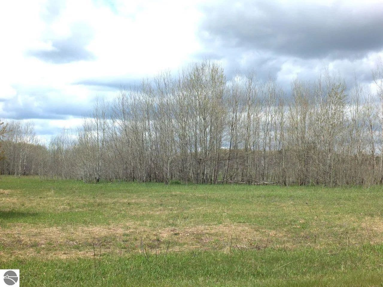 Vacant Land in Kingsley - Kingsley, Michigan, 49649