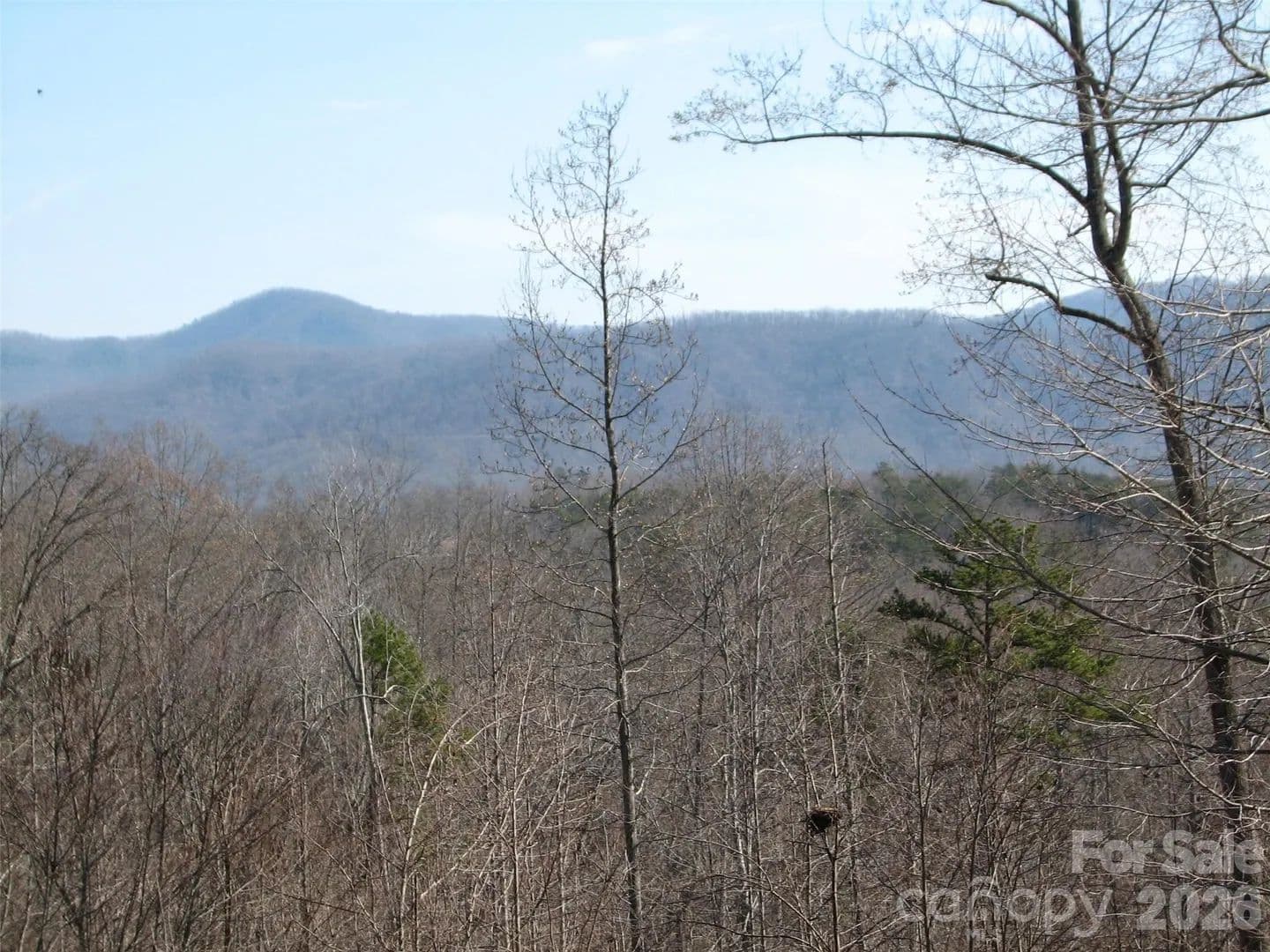 3.25 Acres of Land for Sale in Nebo, NC - Nebo, North Carolina, 28761