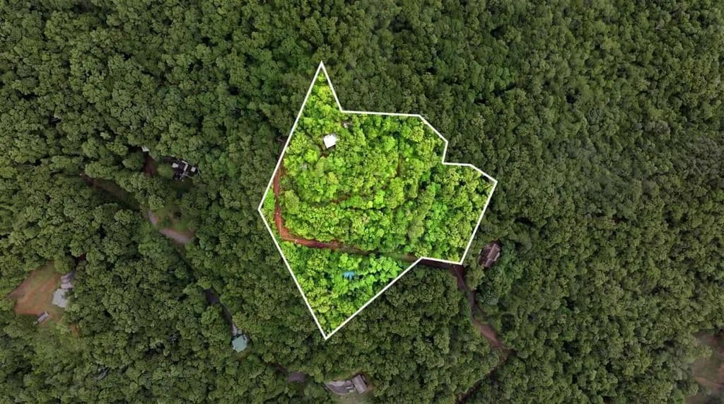 Property from 257 Loose Wire - KW - Sylva, North Carolina, 28779