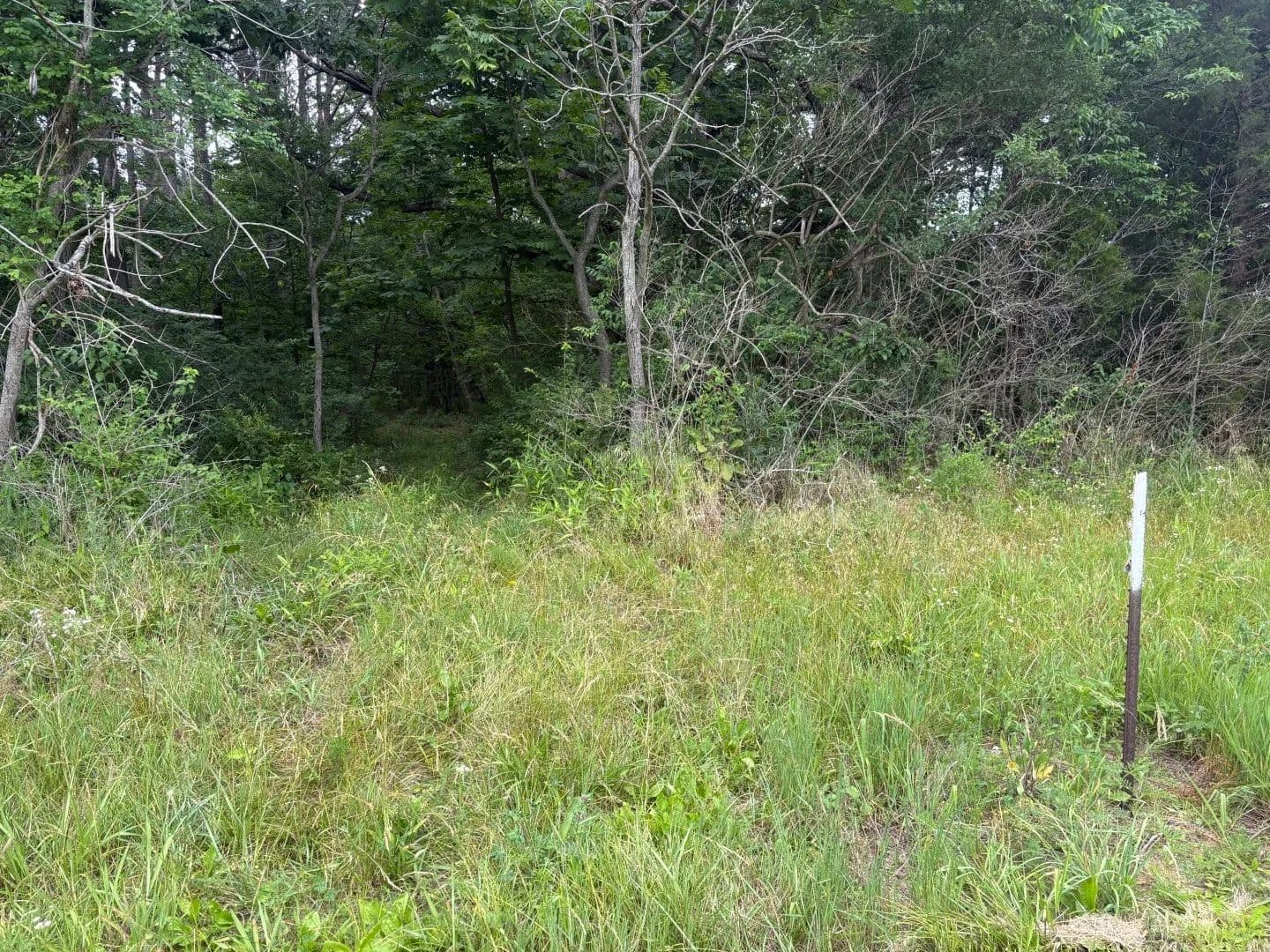Property from 000 N Sato Road - KW - Ava, Illinois, 62907
