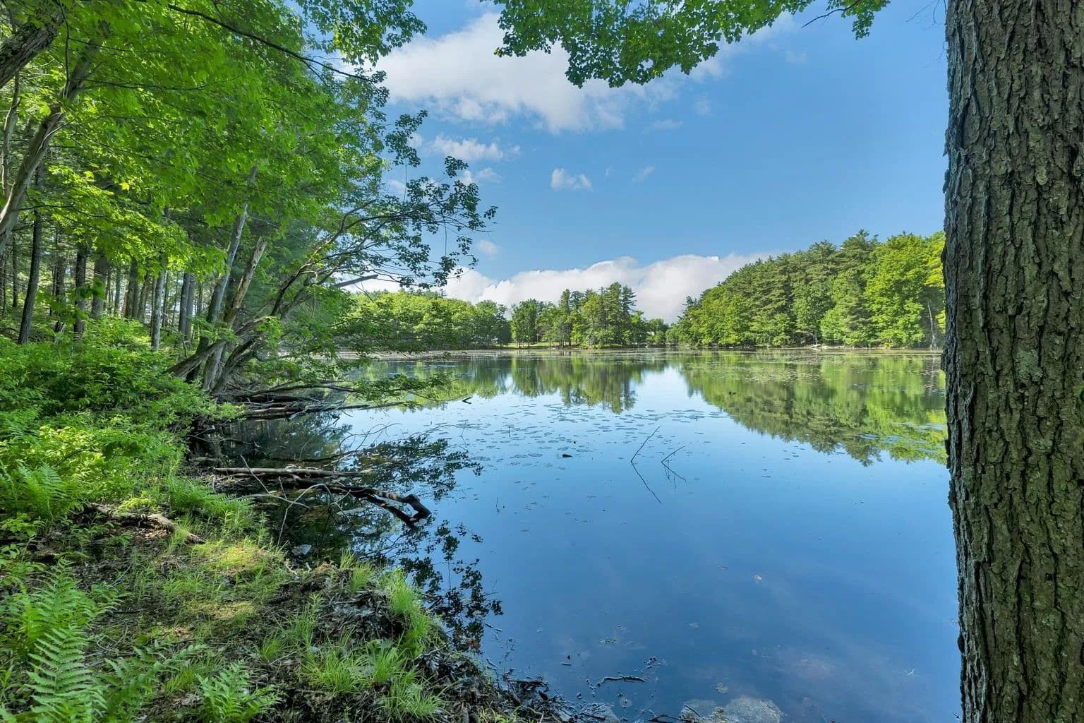 Property from 40 Norwood Road - KW - Salem, New Hampshire, 3079
