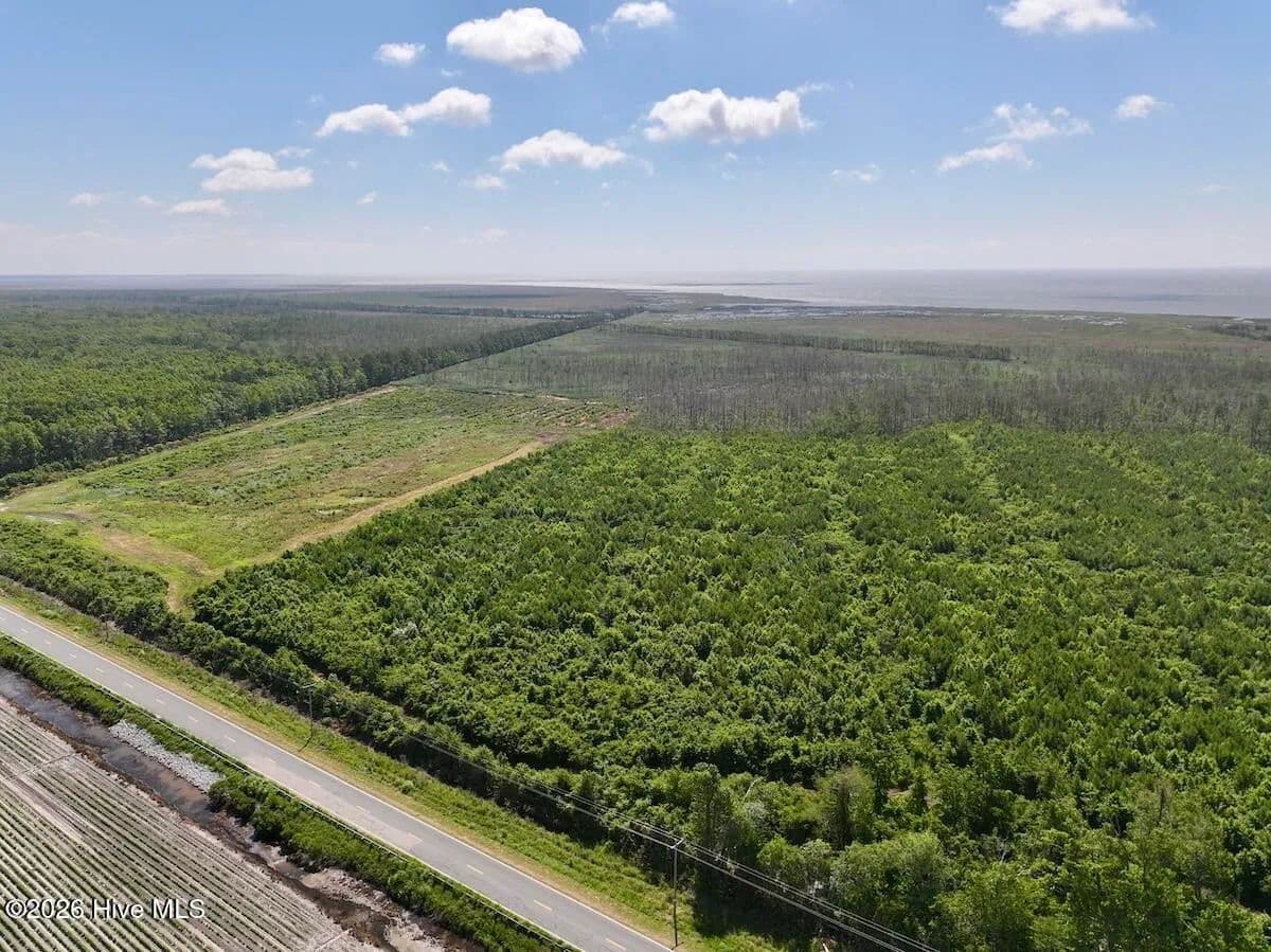 500 Acres of Land for Sale in Engelhard, NC - Engelhard, North Carolina, 27824