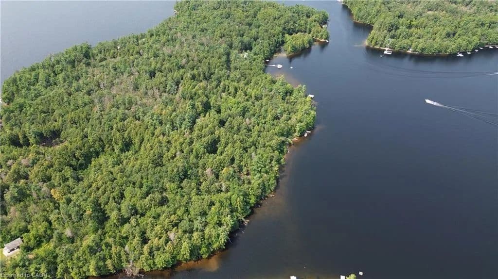Land for Sale in Trent Lakes, ON - land for sale