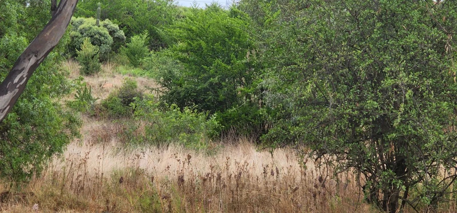 1645 Acres of Land for Sale in Vaal Marina, Gauteng - land for sale
