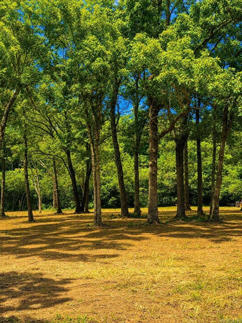 3.97 Acres of Land for Sale in Clinton, Arkansas - Clinton, Arkansas, 72031