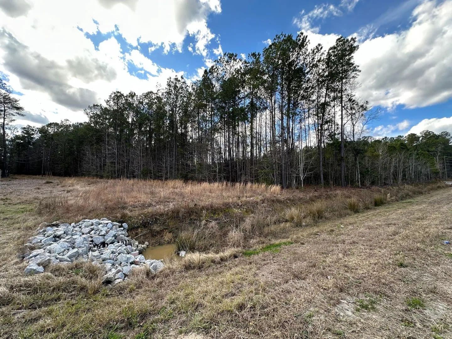 Lots & Land-Other in Ridgeville - Ridgeville, South Carolina, 29472