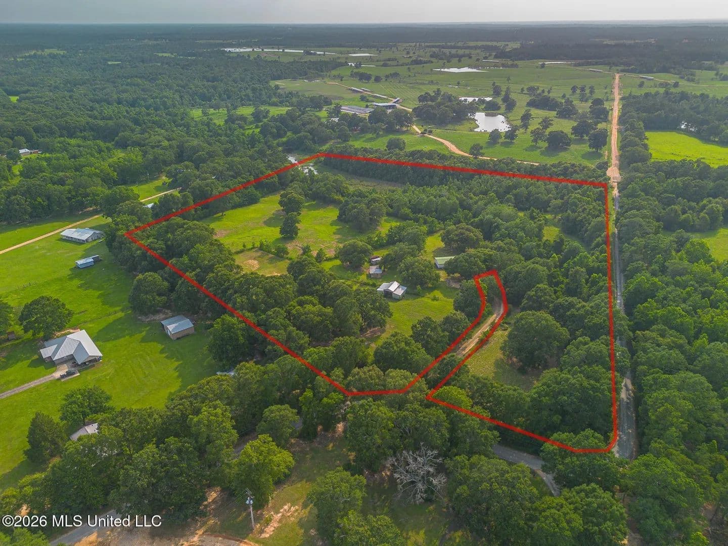 22.01 Acres of Land for Sale in Poplarville, MS - Poplarville, Mississippi, 39470