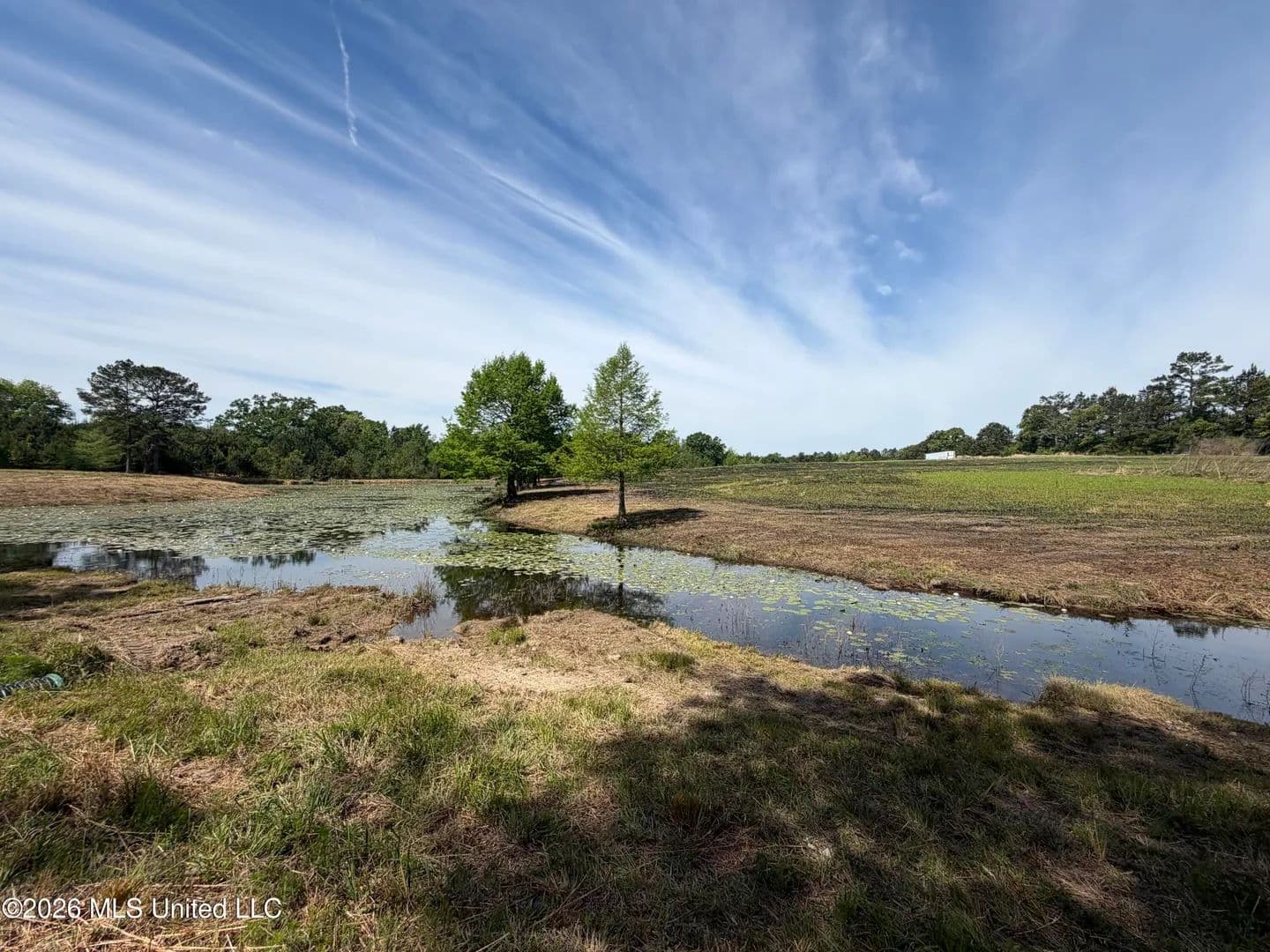 Property from 0 N Neely Avera Road - KW - Neely, Mississippi, 39461