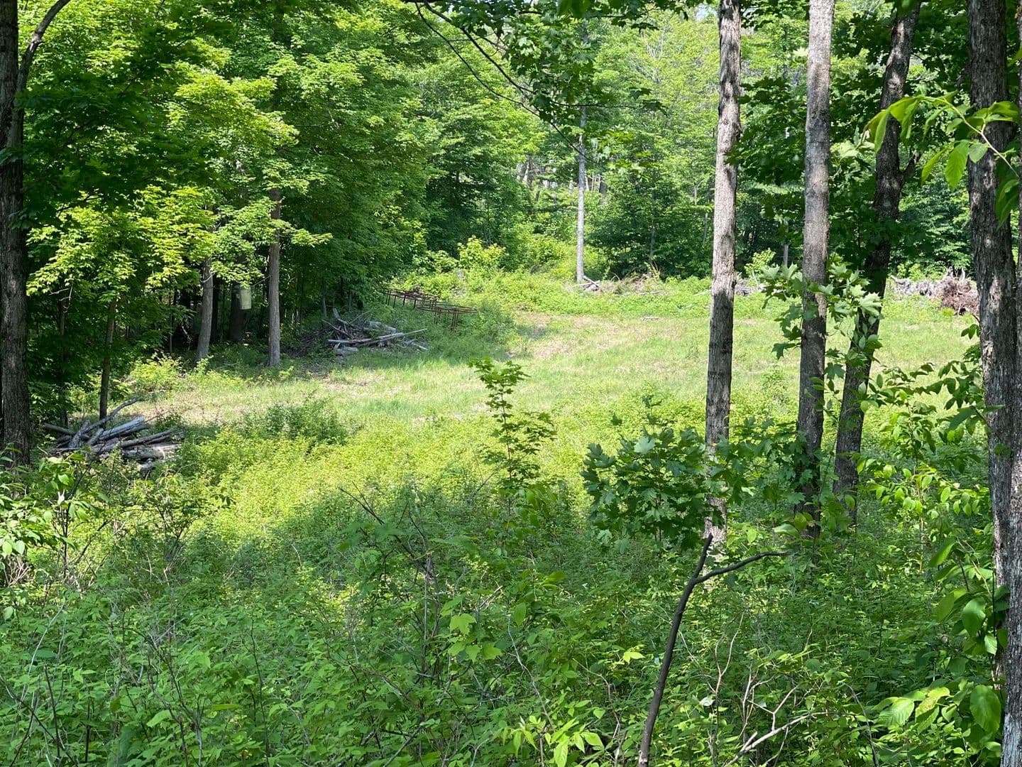 Property from 0 E M48 - KW - land for sale