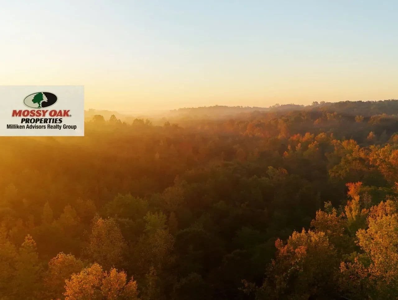Cane Creek Tract B - land for sale