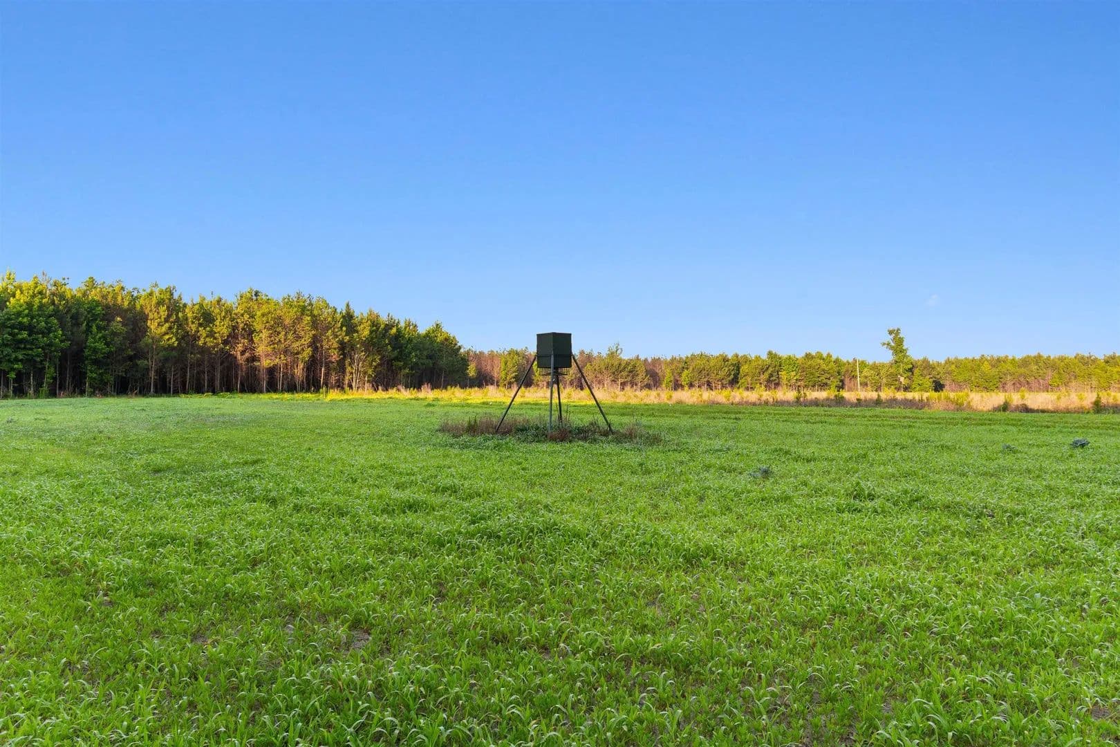 76.86 Acres of Land for Sale in Johnsonville, SC - Johnsonville, South Carolina, 29555