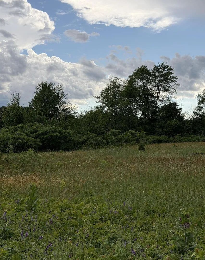 Property from 390 S Arent Road - KW - Watervliet, Michigan, 49098