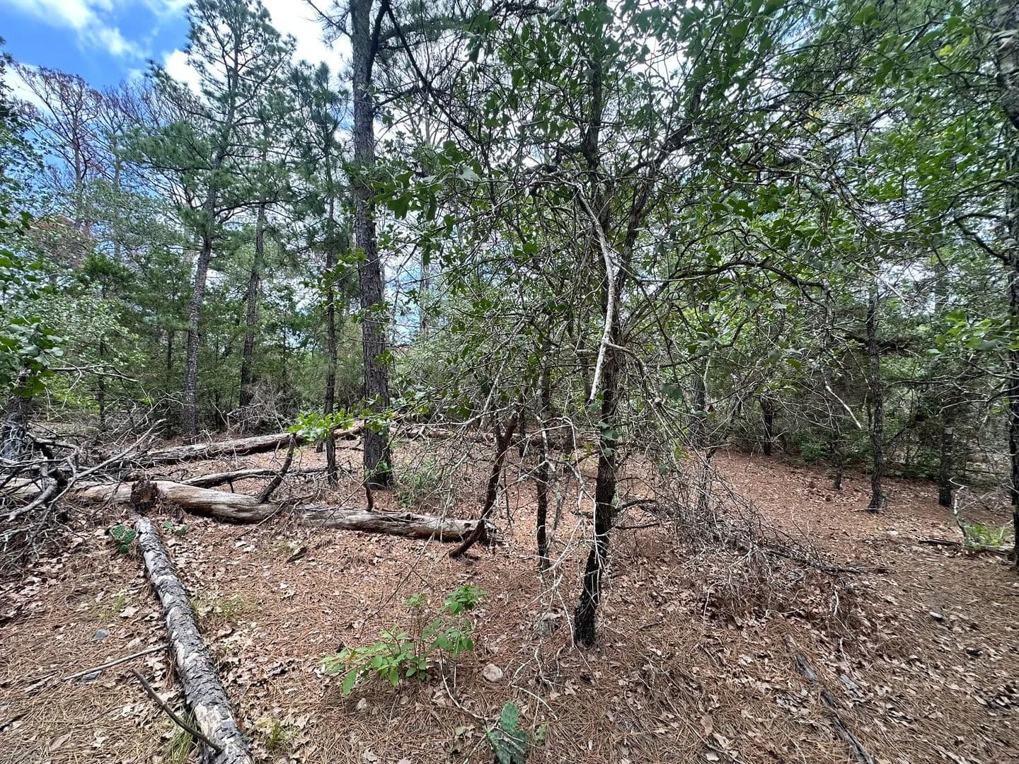 0.31 Acres of Land for Sale in Bastrop, Texas - Bastrop, Texas, 78602