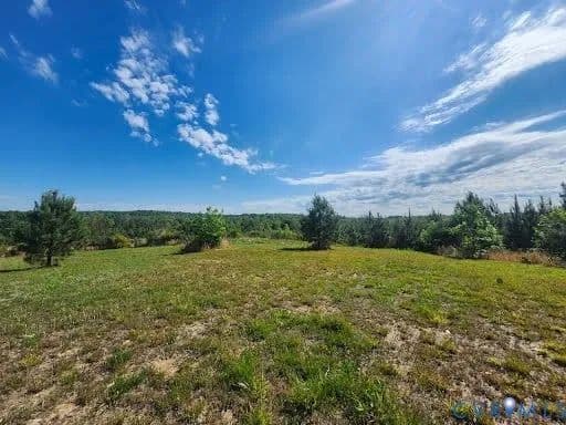 67.45 Acres of Land for Sale in Dillwyn, VA - Dillwyn, Virginia, 23936