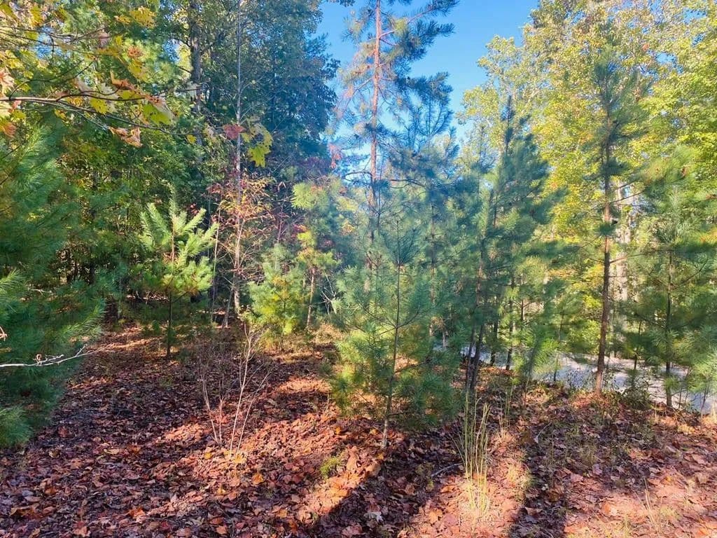 Property from Lot 34 Point Overlook Trail - KW - Murphy, North Carolina, 28906