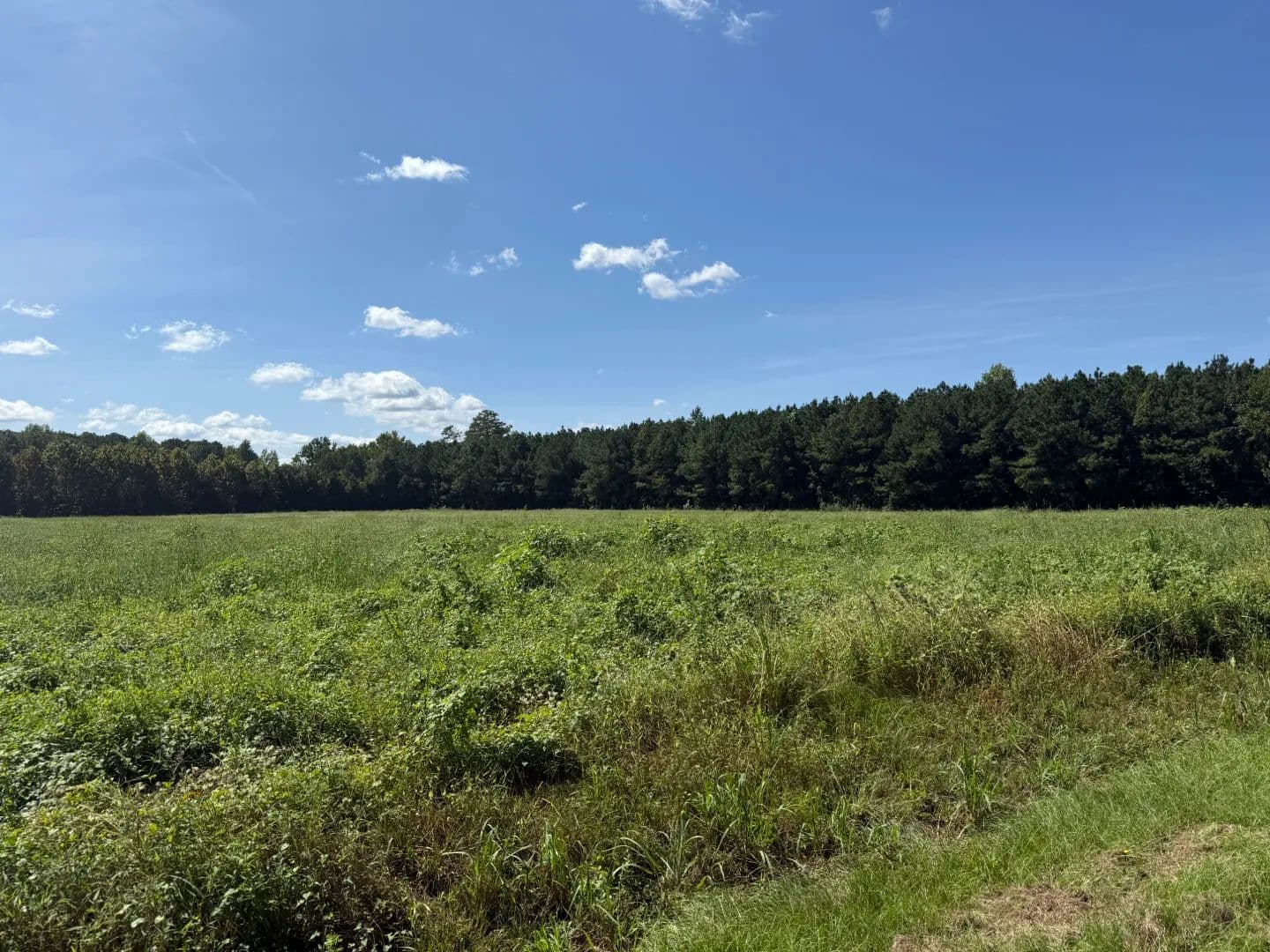 5 Acres for Sale on Highway 33 Near Chocowinity, NC - Chocowinity, North Carolina, 27817