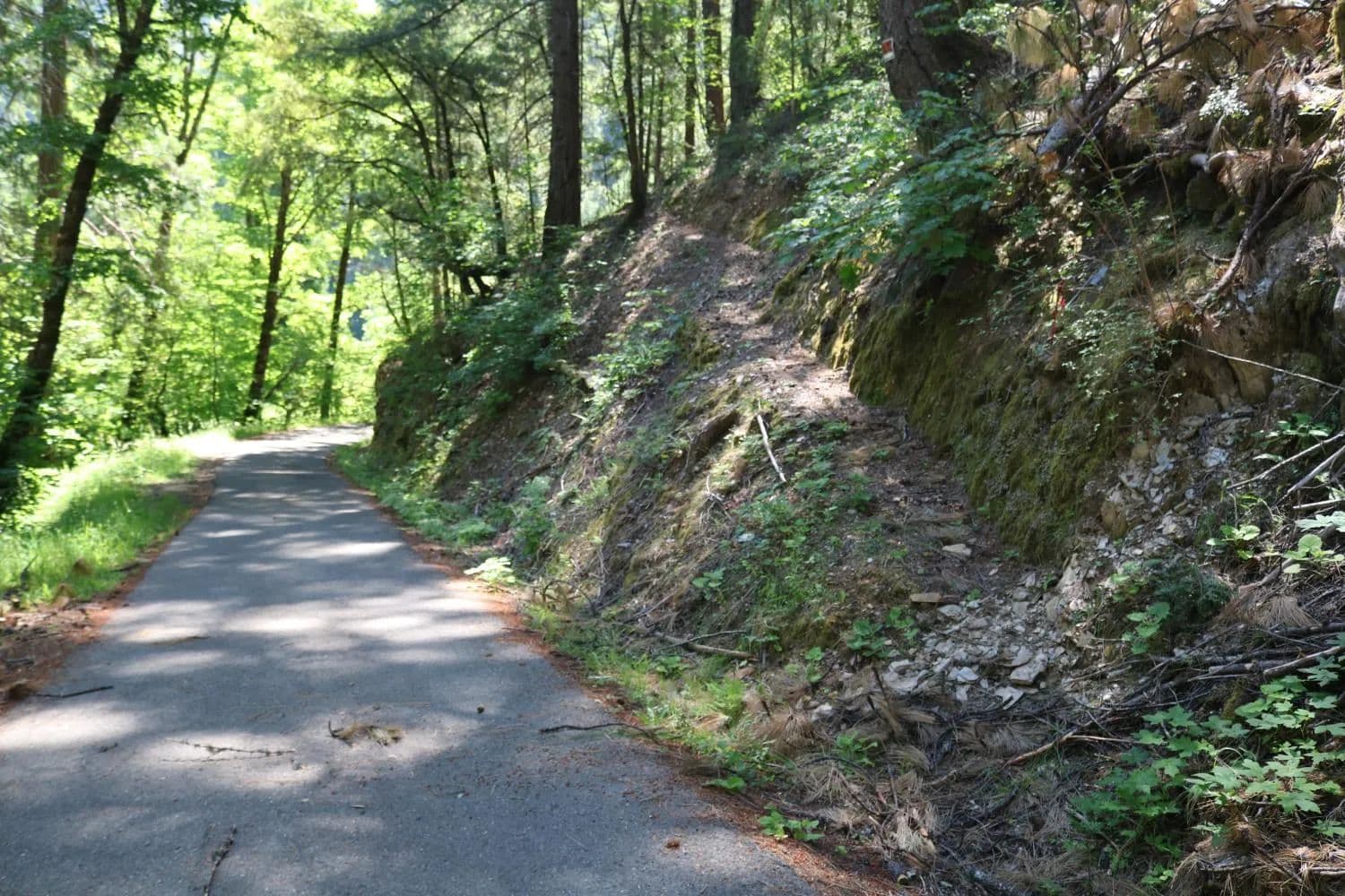 Property from 543 Main - KW - Downieville, California, 95936