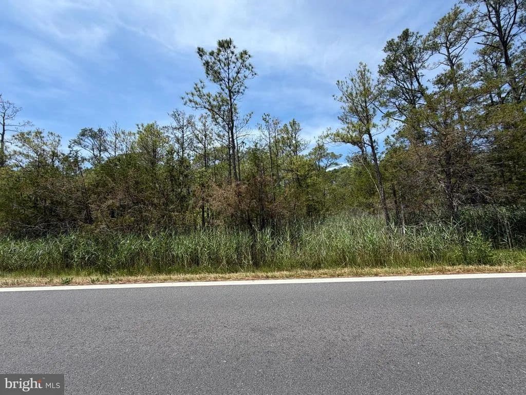 3 Acres of Land for Sale in Crisfield, Maryland - Crisfield, Maryland, 21817