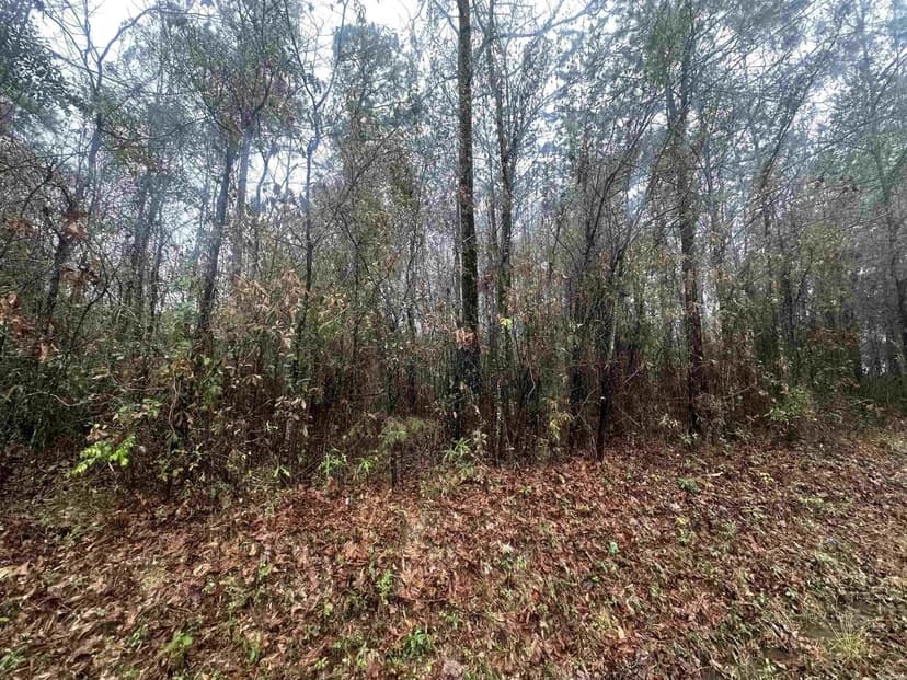 Lots & Land-Other in Sheridan