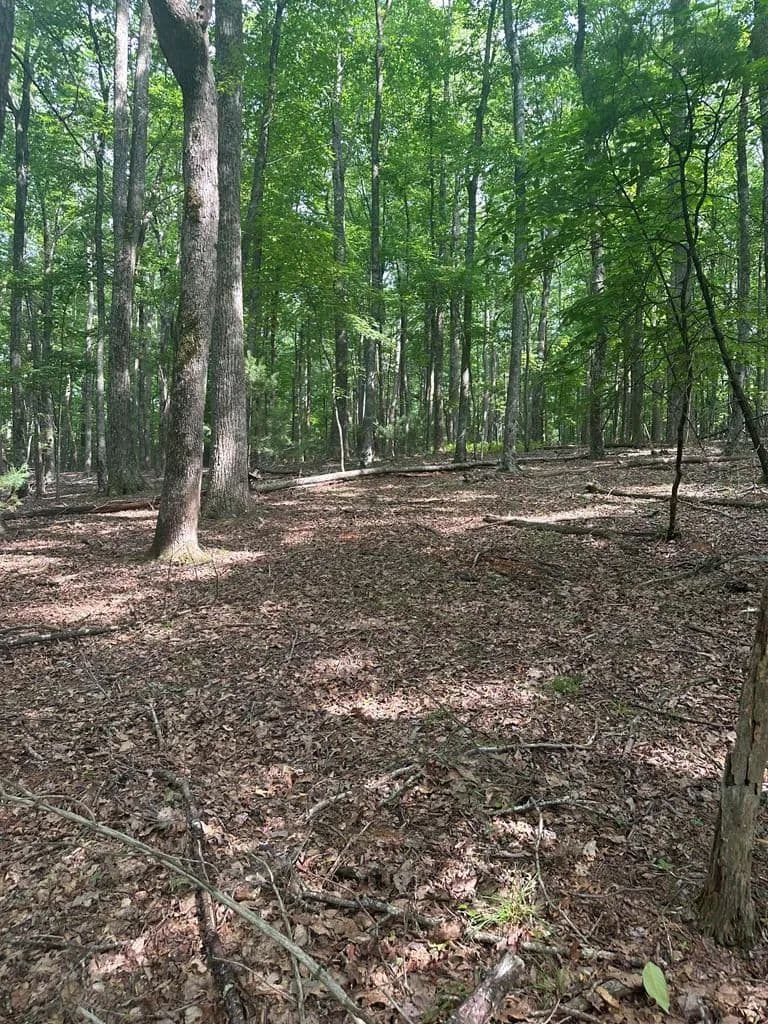Property from TBD Forest Green Dr #TBD - KW - Galax, Virginia, 24333