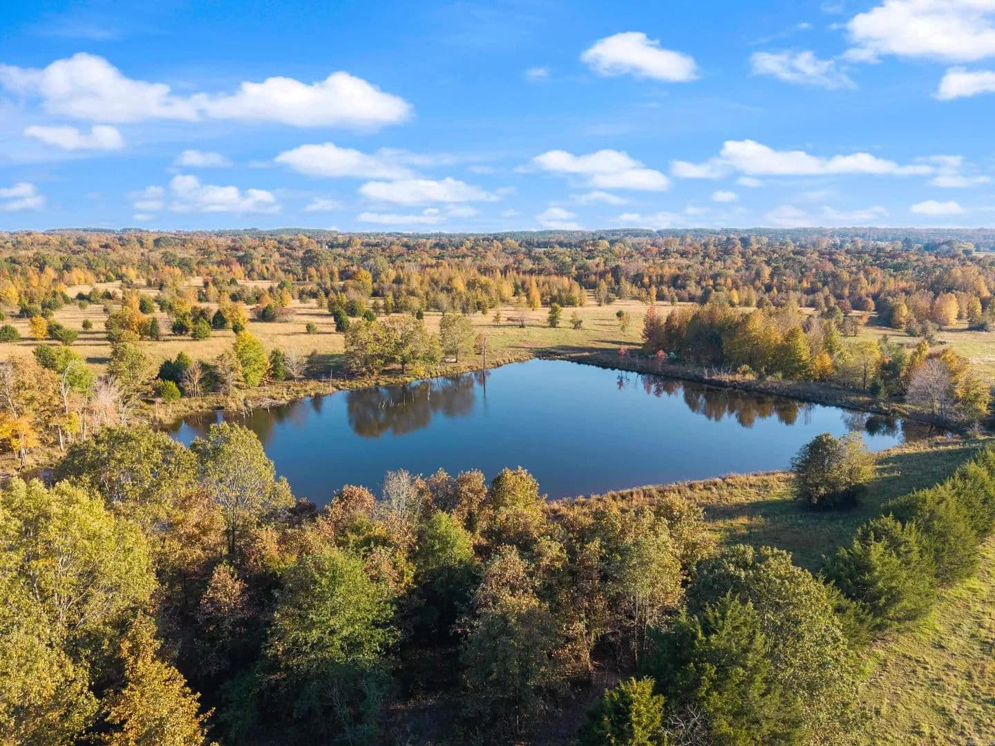 344 Acres of Land for Sale in Greenbrier, AR - Greenbrier, Arkansas, 72058