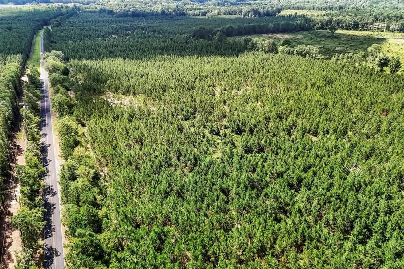 Lot 1 Old 96 Indian Trail