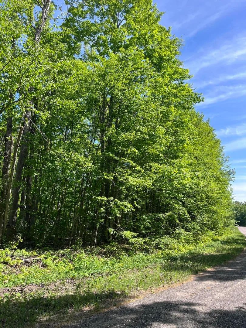 Property from Lot 232 Laming Circle - KW - Elmira, Michigan, 49730