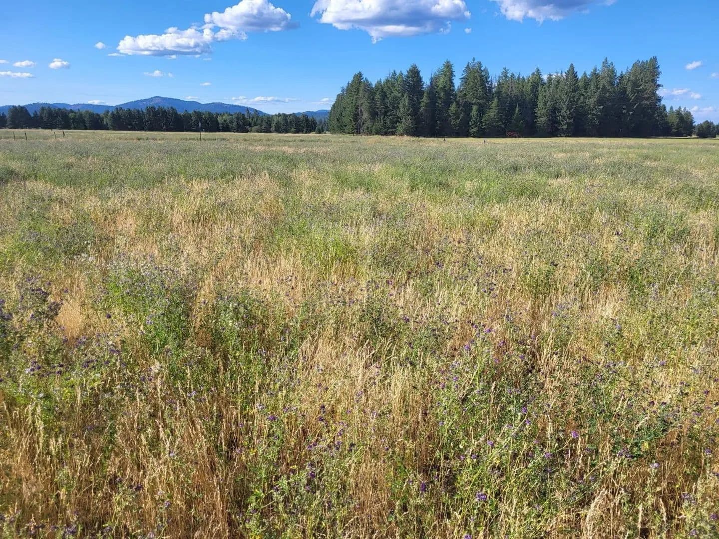 Property from xx Short Rd - KW - Deer Park, Washington, 99006
