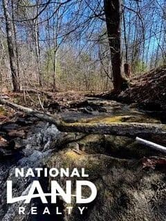 Bowman Branch Hunting Land - Strunk, Kentucky, 42649