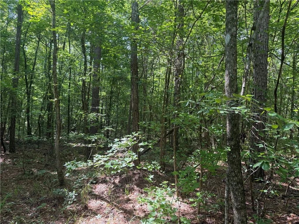 40 Acres of Land for Sale in Lanett, Alabama - Lanett, Alabama, 36863