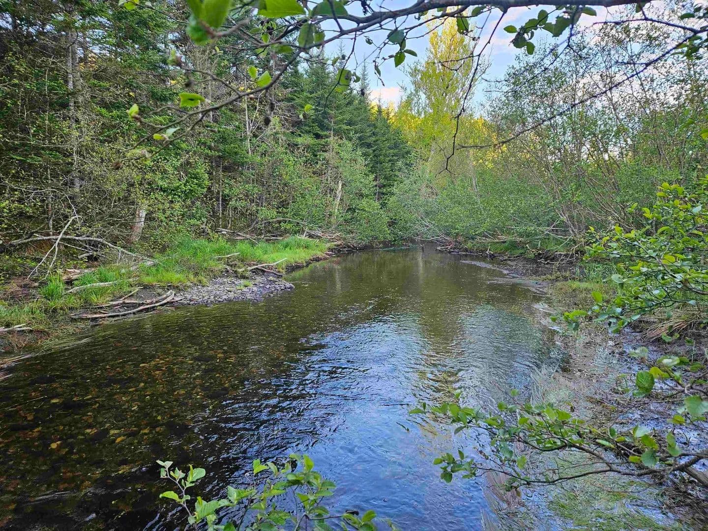 Property from Lot Highway 336 Highway - KW - Canada