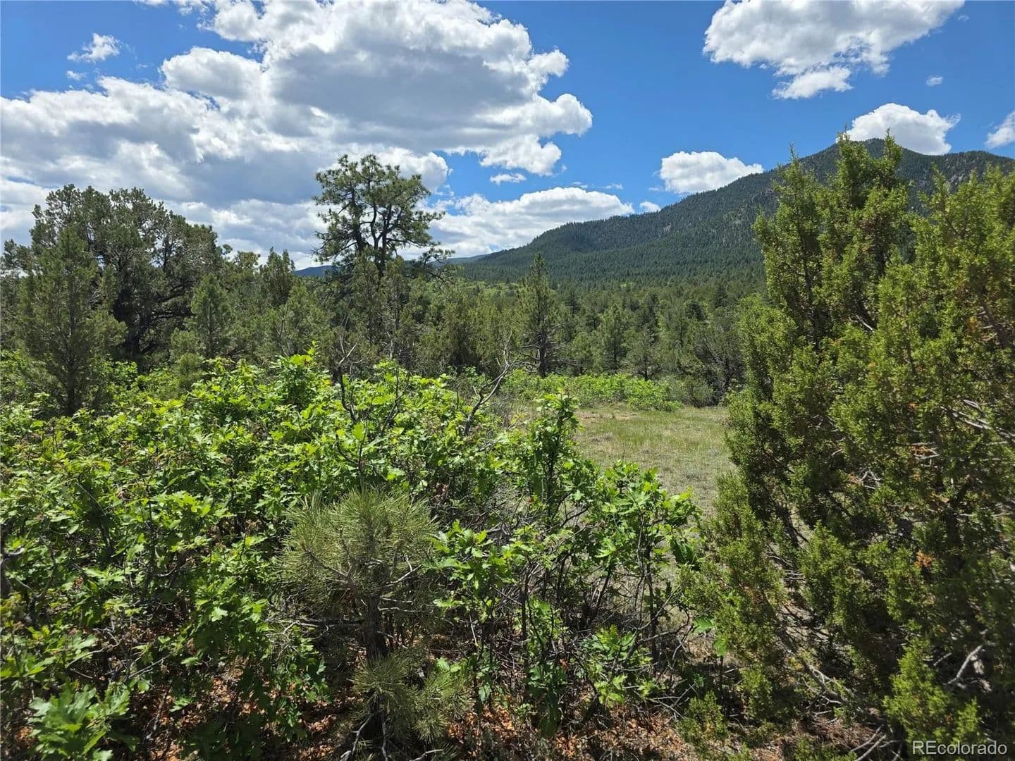Property from 0 County Road 15 - KW - Florence, Colorado, 81226