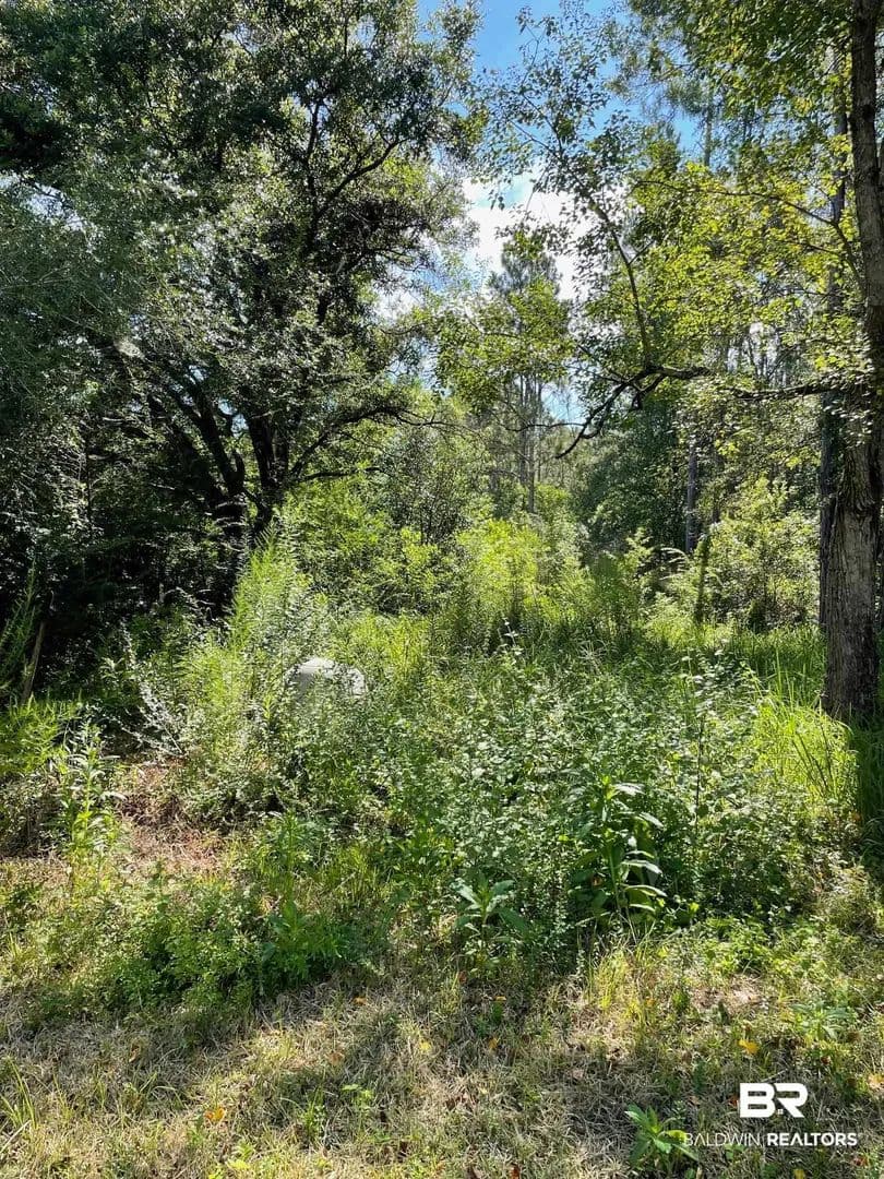 Vacant Land in Robertsdale - Robertsdale, Alabama, 36567