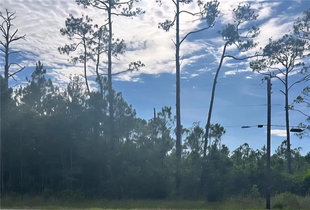 Property from 13565 Dauphin Island Parkway - KW - Coden, Alabama, 36523
