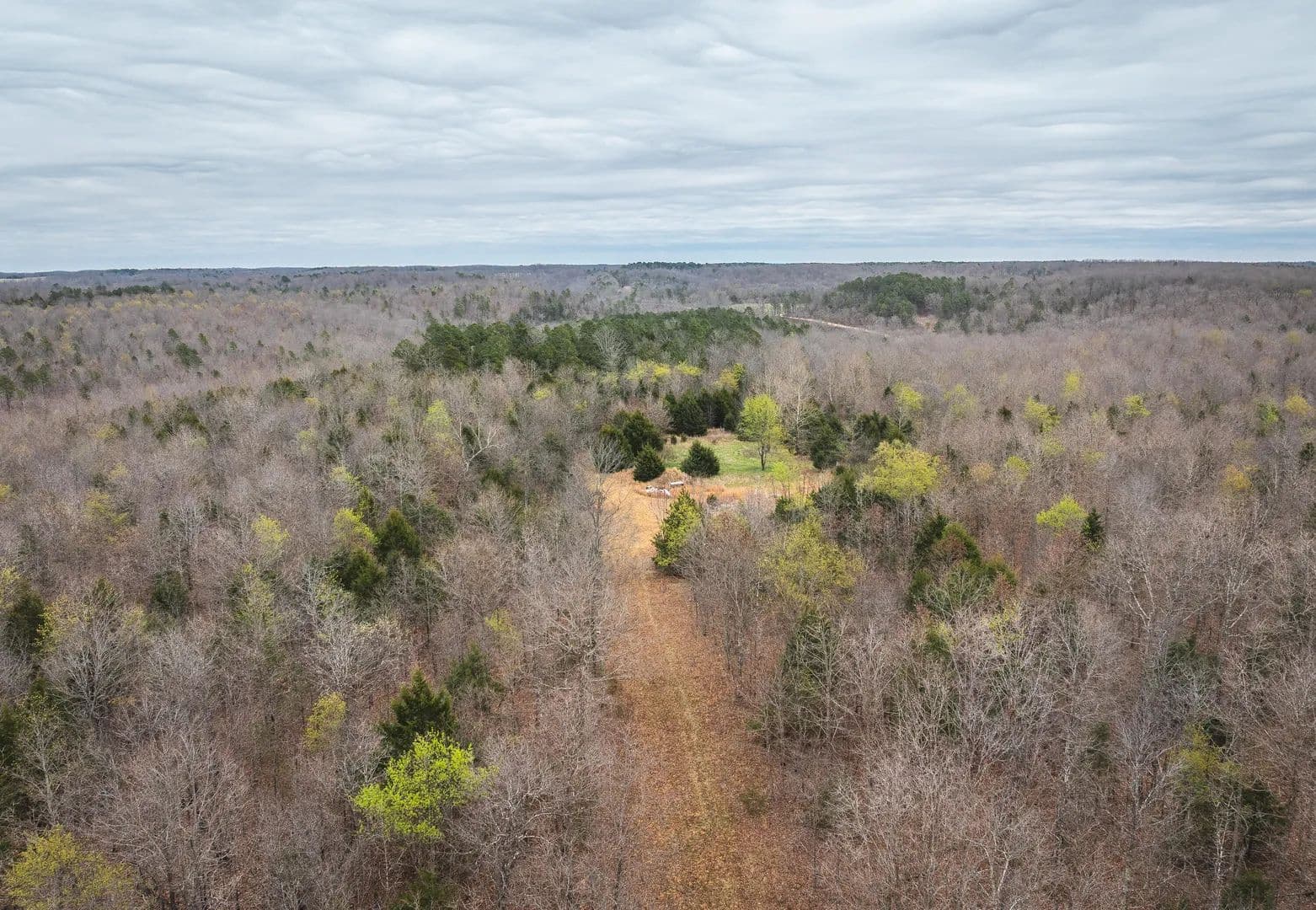 57 Acres of Land for Sale in Mountain View, Missouri - Mountain View, Missouri, 65548