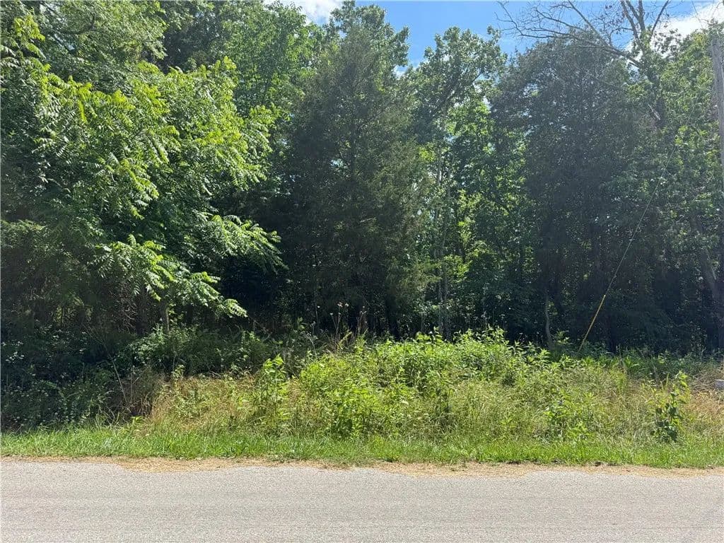 Property from Lot 18 Pitchford Lane - KW - Bella Vista, Arkansas, 72714