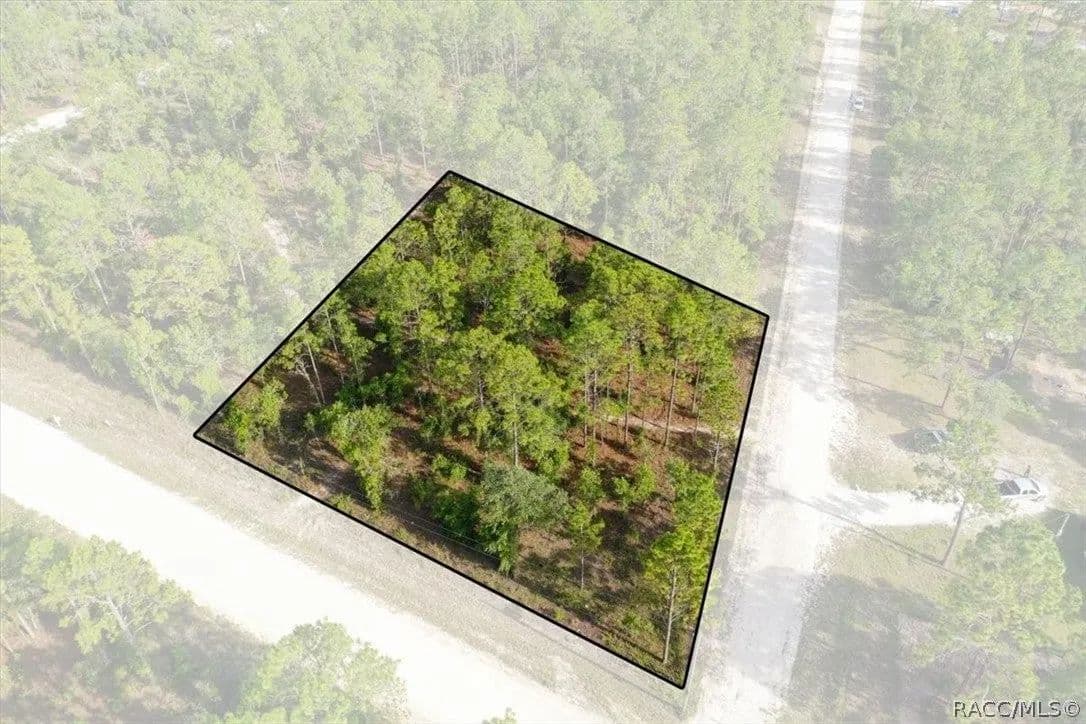 Lots & Land-Other in Williston - Williston, Florida, 32696