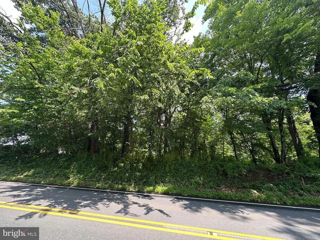 0.15 Acres of Land for Sale in BRUNSWICK, MD - Brunswick, Maryland, 21716