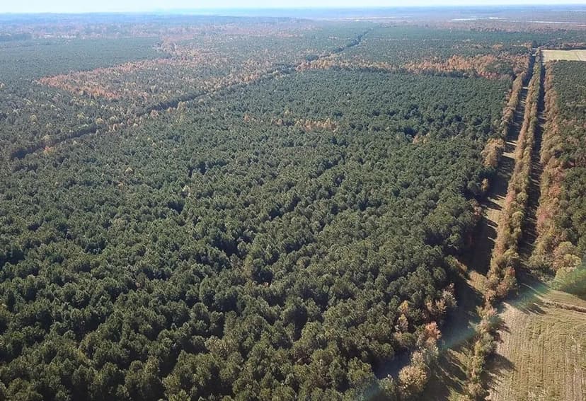 733 Acres of Timberland in Va Beach VA and Currituck Co NC!