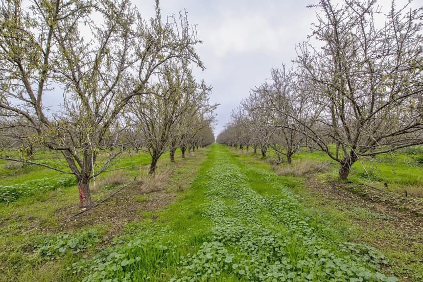 1941 N Dietz Rd, Earlimart