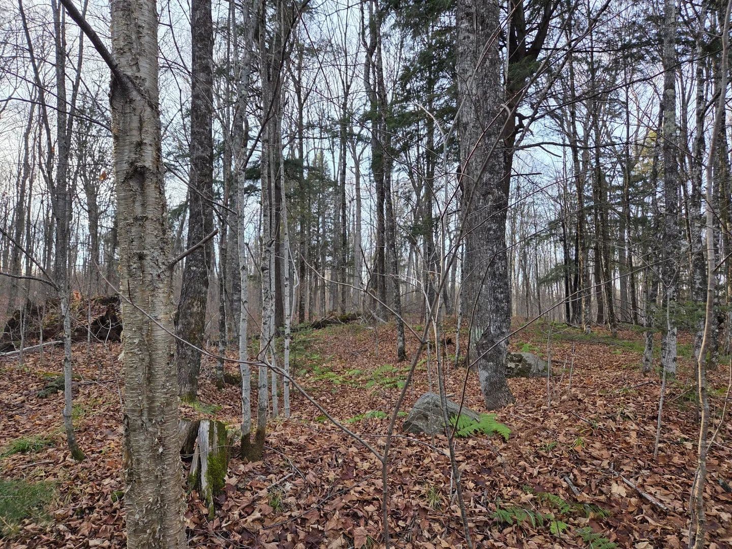 Vacant Land (10+ Acres) in Watersmeet - land for sale