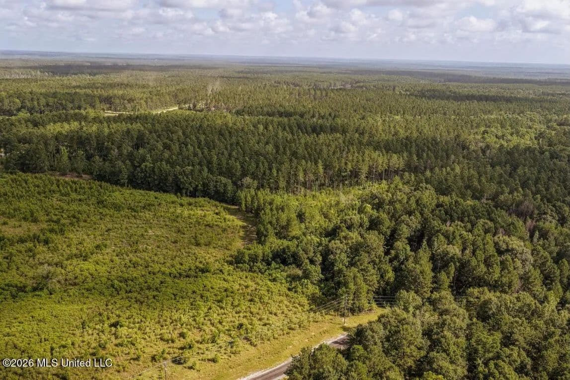 Big Woods Neighborhood Land for Sale Hattiesburg MS - Hattiesburg, Mississippi, 39402