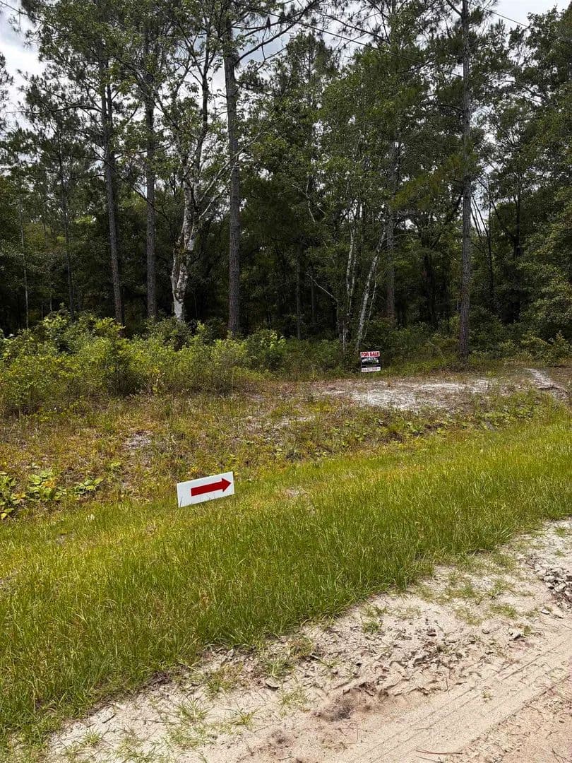 Property from 4715 Roberta Street Hastings FL 32145 - KW - Hastings, Florida, 32145