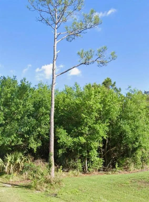 Vacant Land in Punta Gorda - Punta Gorda, Florida, 33980