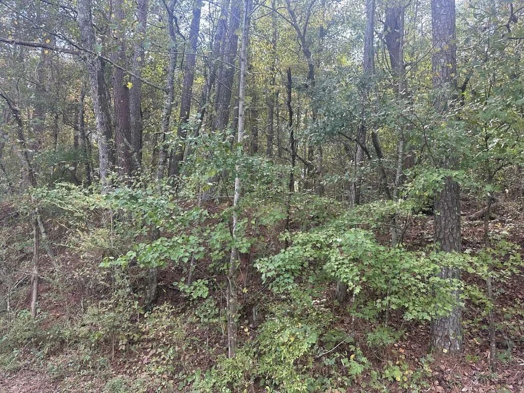 Lots & Land-Other in Talking Rock - Talking Rock, Georgia, 30175