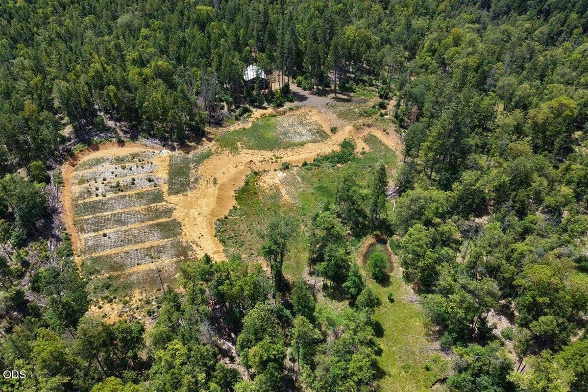 82.22 Acres of Land for Sale in Cave Junction, OR - Cave Junction, Oregon, 97523