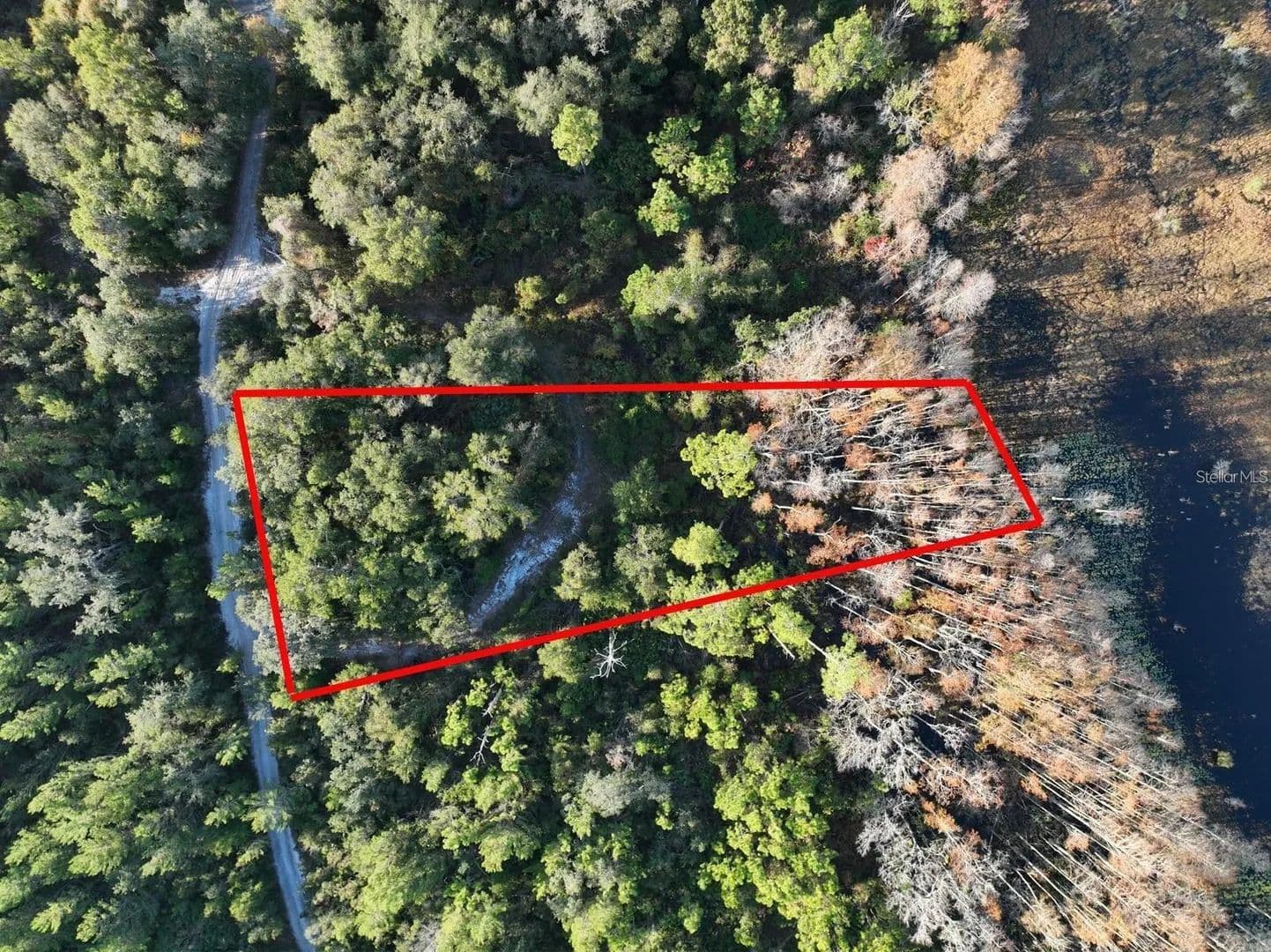 Property from WEST PARKWAY - KW - Deland, Florida, 32724