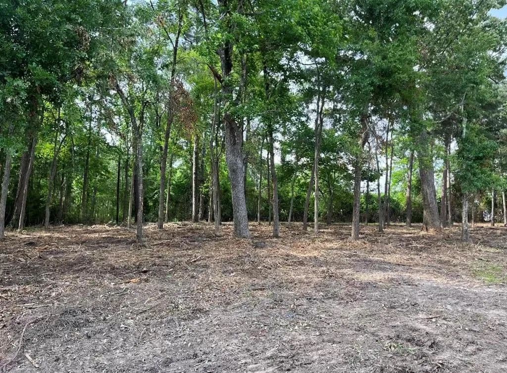 Property from 4000 Ellen Trout Drive - KW - Lufkin, Texas, 75904