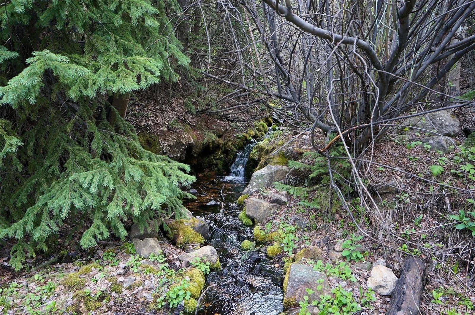 Property from 000 Trail Creek Road - KW - Idaho Springs, Colorado, 80452
