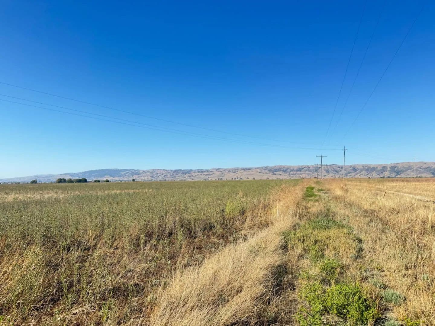 143.42 Acres of Land for Sale in Santa Clara County, CA - California, 95023